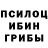 Псилоцибиновые грибы GOLDEN TEACHER Kers kirsanov