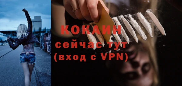 бошки Новозыбков