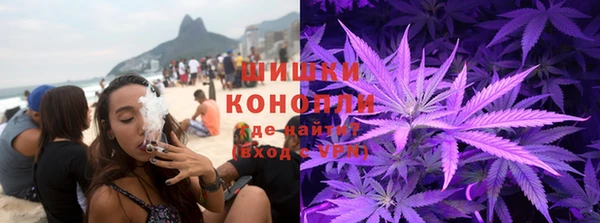 прущая мука Новодвинск