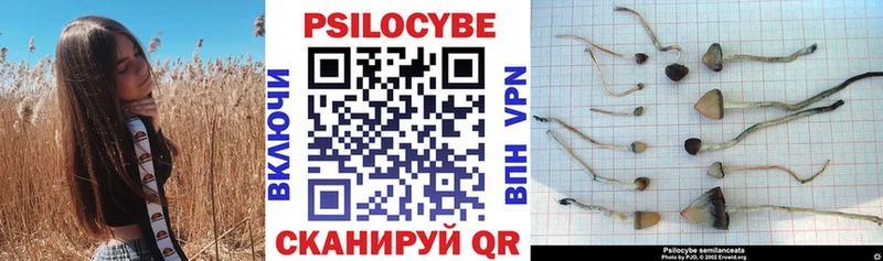 Псилоцибиновые грибы Psilocybine cubensis сколько стоит Нягань